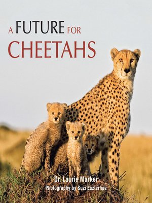 cover image of A Future for Cheetahs